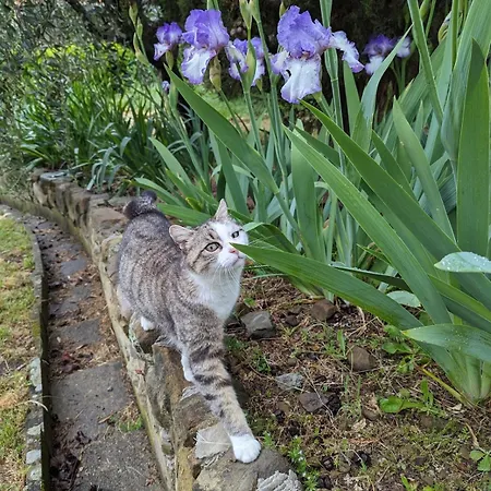 Casa Апарт-отель Castelfranco di Sopra