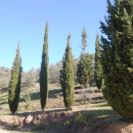 Casa Апарт-отель 4*