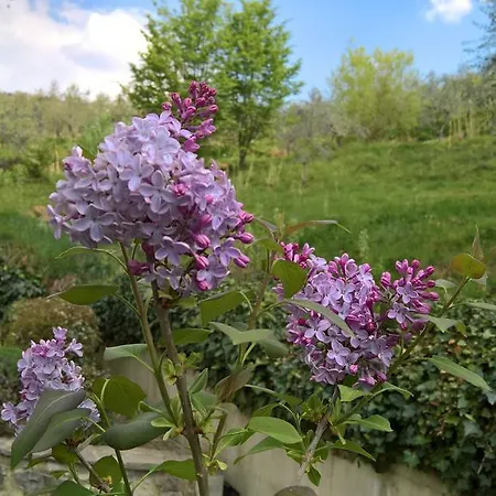 Casa Apartahotel Castelfranco di Sopra