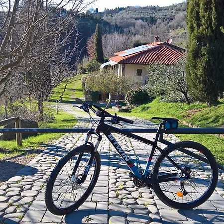 Casa 4* Castelfranco di Sopra