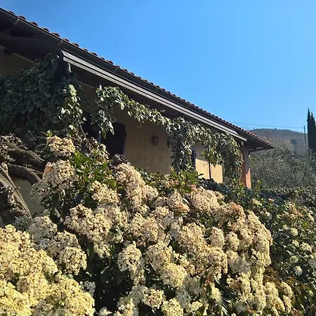 Casa *